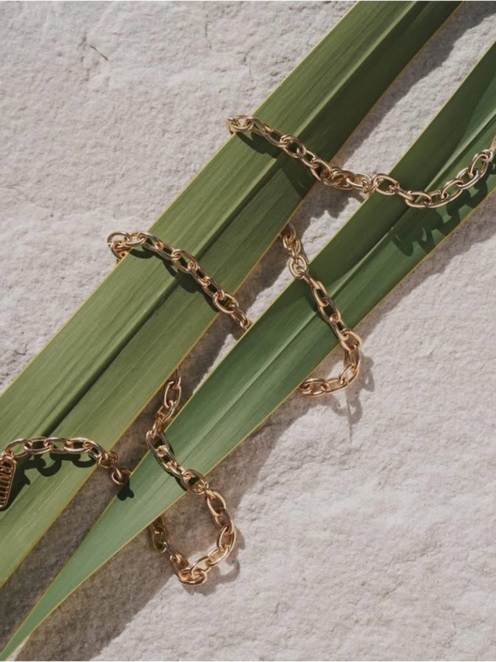 Baleen Jewelry Cassis Gold Chain Necklace - Picture 3 of 5